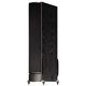Polk Audio RTI10 Black (Ea) 3-Way Floorstanding Speaker